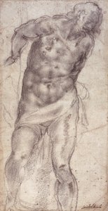 Estudio de Figura de Michelangelo Buonarroti